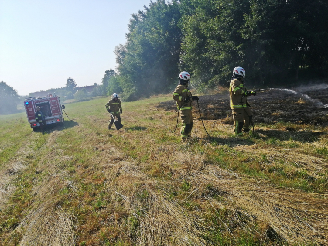 Pożar skoszonej trawy w Świerzowej Polskiej przy ul. Składowej