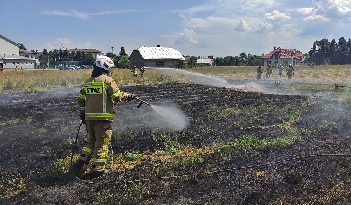 Pożar suchych traw przy ul. Kmiecie
